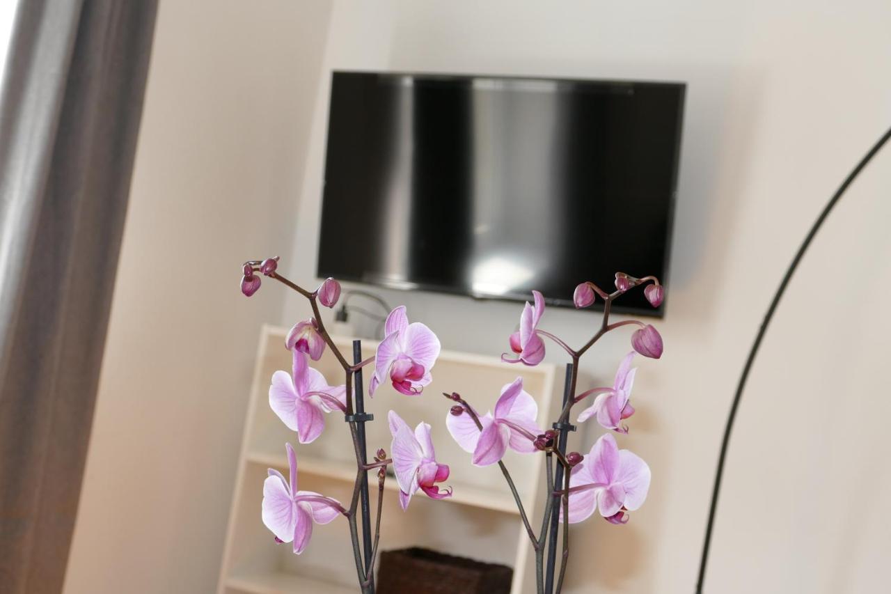 Stylish City Apartments فيينا المظهر الخارجي الصورة